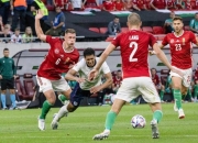 AYX官方直播-波黑主场大胜尼克萨扬破门希腊客场告捷