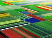 爱游戏中国-意大利选手斩获银牌，郁金香般绚烂