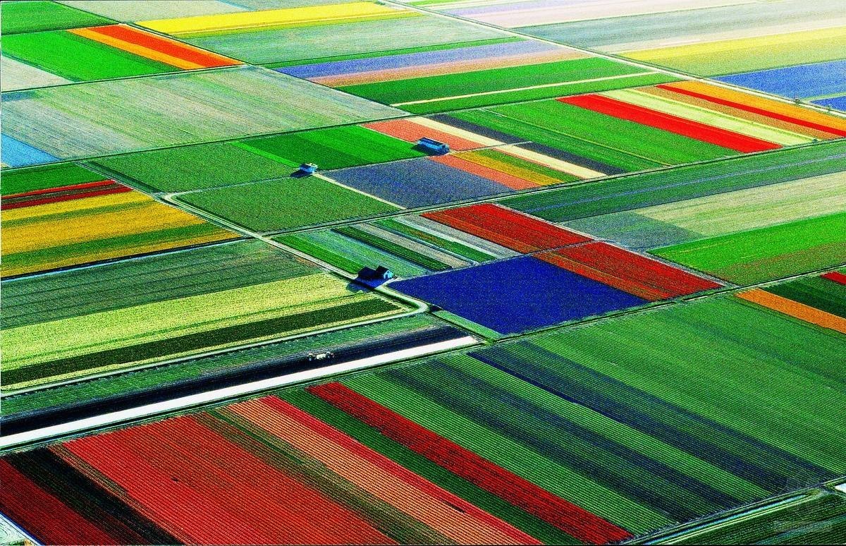 意大利选手斩获银牌，郁金香般绚烂